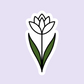 Blooming Tulip Die Cut