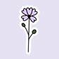 Pansy Die Cut