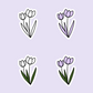 Tulips Die Cut